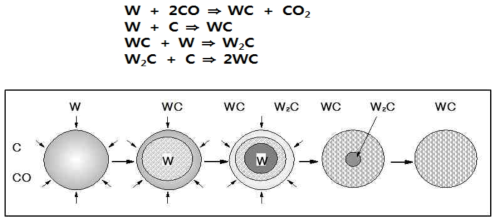 확산반응에 따른 WC 탄화과정 요약