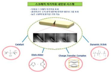 스크래치 자기치유형 내인성 화학소재 기술