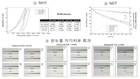 개발 단계 클리어코트 도료 경화 이후 물성 평가