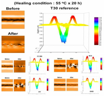 AFM을 활용한 Before & after scratch healing 3D graph 분석