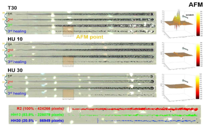 반복스크래치 panorama 및 AFM 3D Image