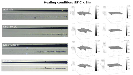 AFM을 이용한 최종 개발 클리어코트의 스크래치 힐링 여부 (55°C × 8hr)