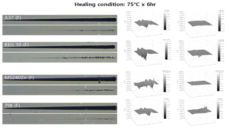 AFM을 이용한 최종 개발 클리어코트의 스크래치 힐링 여부 (75°C × 6hr)