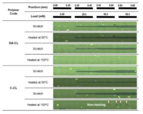스케일업 시스템 기반 DA-rDA X-linker 적용 자기치유 클리어코트 자기치유 성능 평가. DA-CL (DA를 포함하는 자기치유 클리어코트), C-CL (DA를 포함하지 않는 상용 클리어코트)