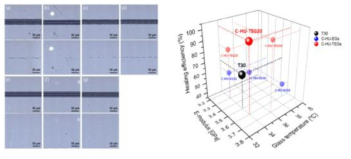 Scale-up 시스템에서 HU 기반 자기치유 클리어코트의 자기치유 성능 평가 (75℃, 24h 자기치유 처리): (a)T30, (b)C-HU-EG10, (c)C-HU-EG30, (d)C-HU-EG50, (e)C-HU-TEG10 (f)C-HU-TEG30 (g)C-HU-TEG50