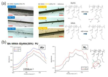 (a) GlyMA를 함유하는 아크릴 공중합체의 구조 및 각 고분자의 스크래치 자기치유 시험결과 및 (b) 스크래치 자기치유 과정의 FT-IR 분석 결과