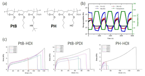(a) PtB 및 PH의 분자 구조식 및 각각을 HDI 혹은 IPDI를 이용하여 가교시킨 고분자의 (b) Rheometer 및 (c) UTM 분석 결과