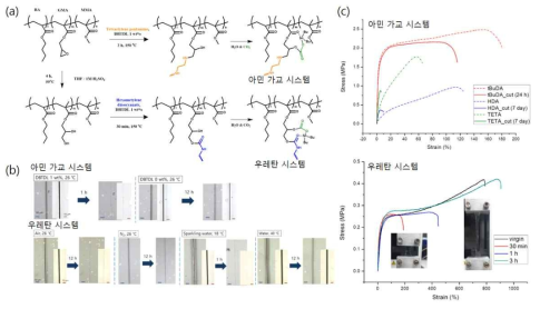 (a) GMA 아크릴 고분자를 이용한 아민 가교 및 우레탄 고분자의 구조식 및 각 고분자의 (b) 스크래치 자기치유 시험 결과와 (c) UTM 분석 결과