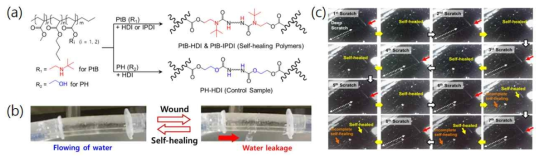(a) PtB, PH 및 가교된 고분자의 구조식, (b) 물이 흐르는 자기치유 관의 자기치유 및 (c) 수중에서 스크래치의 반복적인 자기치유