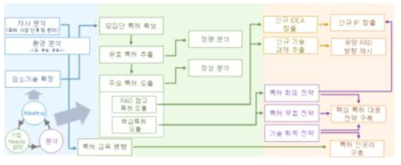 특허 분석 및 대응 전략 로드맵