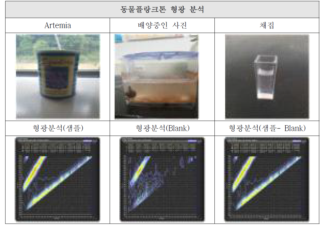 동물플랑크톤 배양 및 형광분석 파장