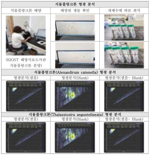 식물플랑크톤 배양 및 형광분석 파장