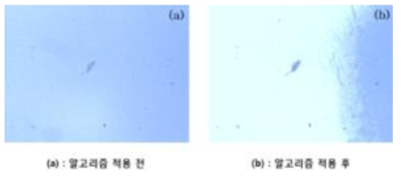 화질 개선 알고리즘 적용