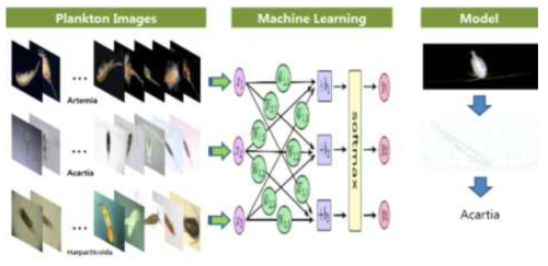 Plankton Image의 기계학습 모델링