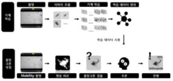 동물플랑크톤 기계학습 및 판별 과정