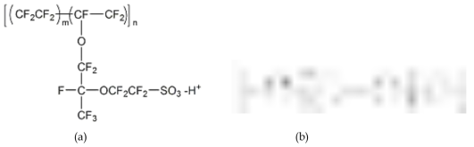 연료전지용 술폰화 과불소계 고분자(a), 비불소계(탄화수소계) 고분자(b)