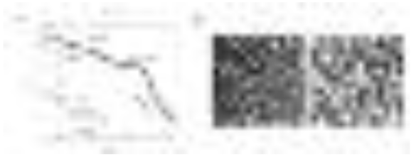 (a) Nafion의 SAXS Data (Macromolecules 2002, 35, 4050); (b) Nafion의 AFM 이미지. RT humidity (좌) 증류수에 노출 (우) (Chem. Rev. 2004, 104, 4535)