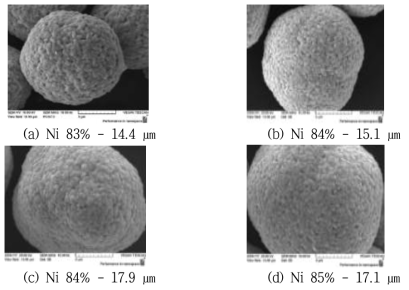 Ni 함량별, 입경별 대입경 양극활물질 형상 변화 SEM images