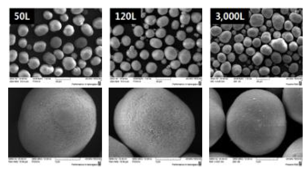 Lab 및 Pilot 공침 전구체 SEM 사진