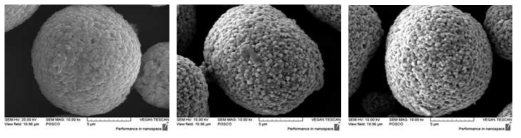 High Ni 양극활물질의 Dopant 종류별 형상 변화 SEM images (a) Ni 83%(Bare) (b) Ni 83%(Ti doping) (c) Ni 83%(Zr doping)