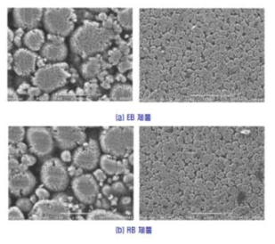 EB제품과 RB 제품의 극판 특성 비교