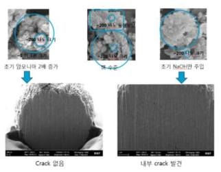 초기 용액 조성에 따른 내부 crack 현상 변화