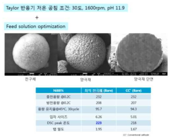 최적 저온 공침 조건에서의 전극재 특성 비교