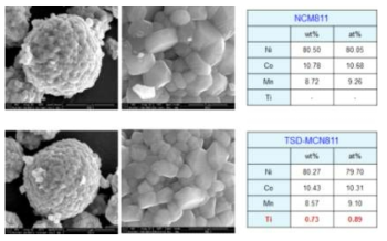 Ti가 표면도핑 된 양극소재의 표면 및 조성 분석 결과