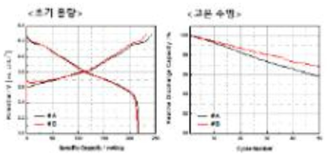 참여기관 도핑 물질을 적용한 수명평가 결과