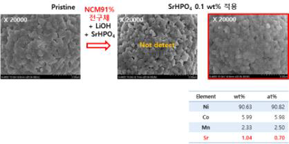 Sr 도핑된 NCM 양극활물질의 EDS 분석결과