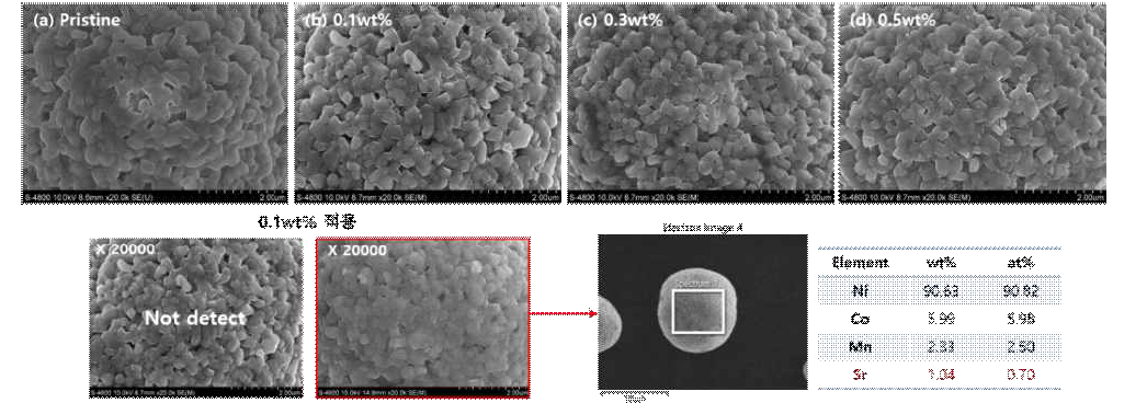 Sr 및 Li3PO4를 적용한 NCM 양극활물질의 FESEM 분석 결과