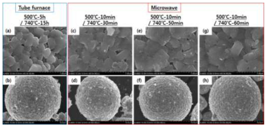 Tube furnace 소성 (a), (b)과 microwave 소성 (c)-(h) 후의 FESEM 이미지