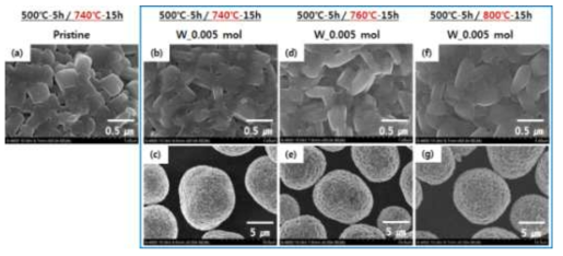 Pristine과 tungsten을 적용시킨 양극 활물질의 FESEM 이미지
