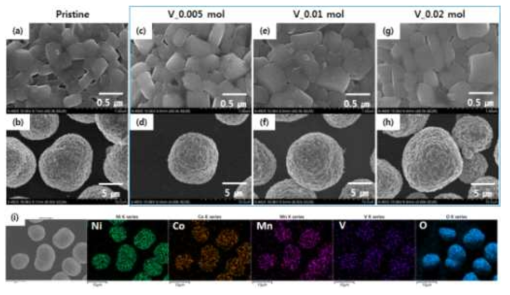 Pristine (a), (b)과 vanadium이 도핑된 양극 활물질의 FESEM 이미지 (c)-(h)와 EDX mapping 데이터 (i)