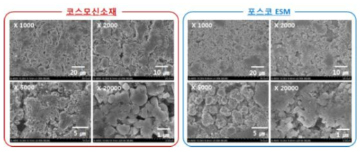 참여기관의 고니켈계 양극 활물질의 극판 FESEM 이미지