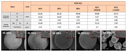 p-NCM 개발품