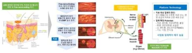 PAMS 기술 개념