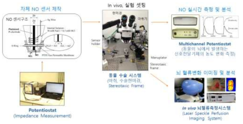NO 측정 실험 구성도