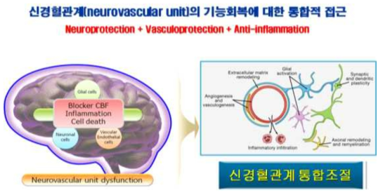 신경혈관계(neurovascular unit)의 기능회복에 대한 통합적 접근