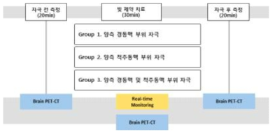 양전자 컴퓨터 단층 촬영 평가 프로토콜