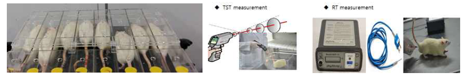 강제운동 모델 및 tail skin∙rectal temperature measurement