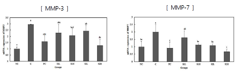 Catabolic factor mRNA expression in chondrocytes extracted from MIA-induced rats