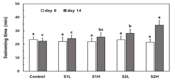 Exhaustive swimming capacity in mice