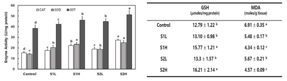 anti-oxidative effect in liver in exhaustive swimming mice