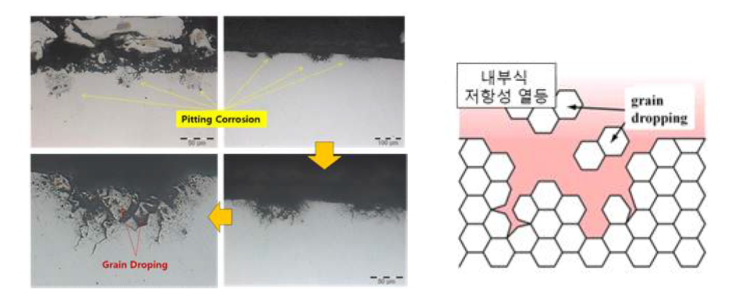 실제 스프링강에서의 pitting corrosion 거동