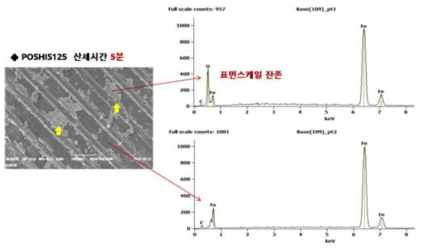 산세처리 5분 경과 후 표면 분석 결과