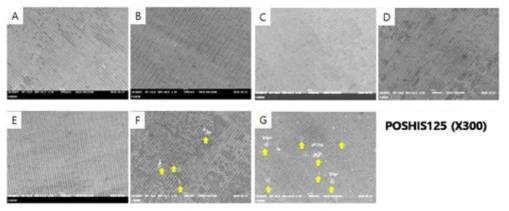 산세시간에 따른 pitting corrosion 생성 거동