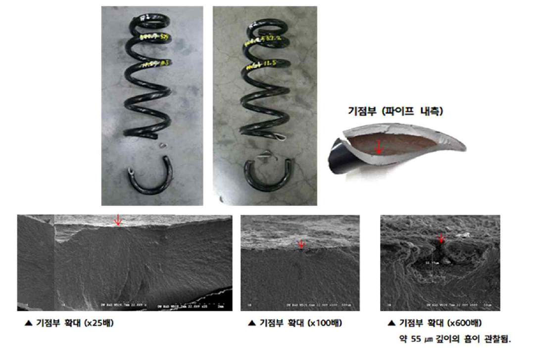 중공 코일 스프링 튜브 절손 사진 및 절손부 SEM 사진 (2차년)