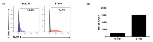 암 세포주에 대한 ICAM-1 발현 확인 (A) 및 정량분석 (B)