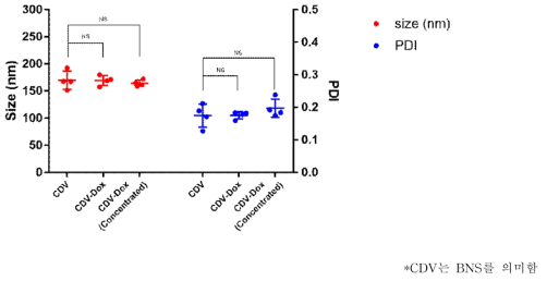 Changes in BNS size and PDI after DOX encapsulation and concentration>